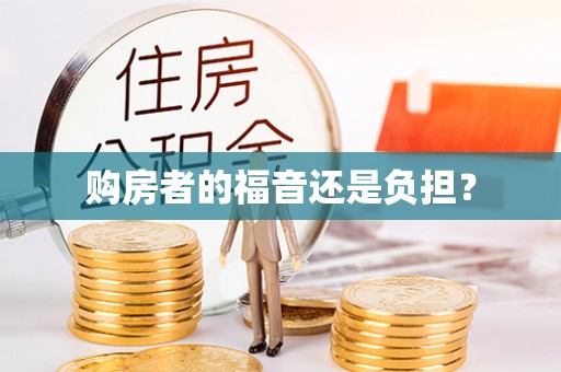 顺河购房者的福音还是负担？