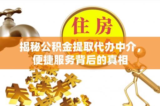 顺河揭秘公积金提取代办中介，便捷服务背后的真相