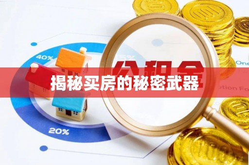 顺河揭秘买房的秘密武器
