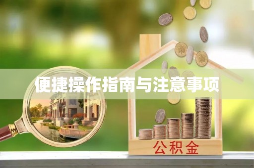 顺河便捷操作指南与注意事项